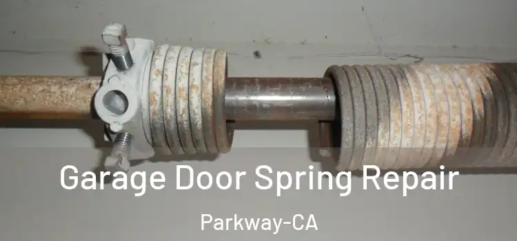  Garage Door Spring Repair Parkway-CA
